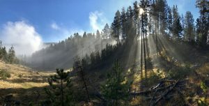 صور بكاميرا ايفون 7