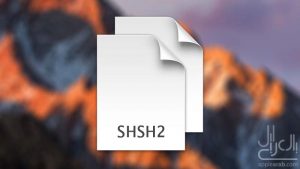 ملفات SHSH2