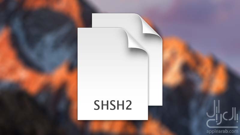 ملفات SHSH2